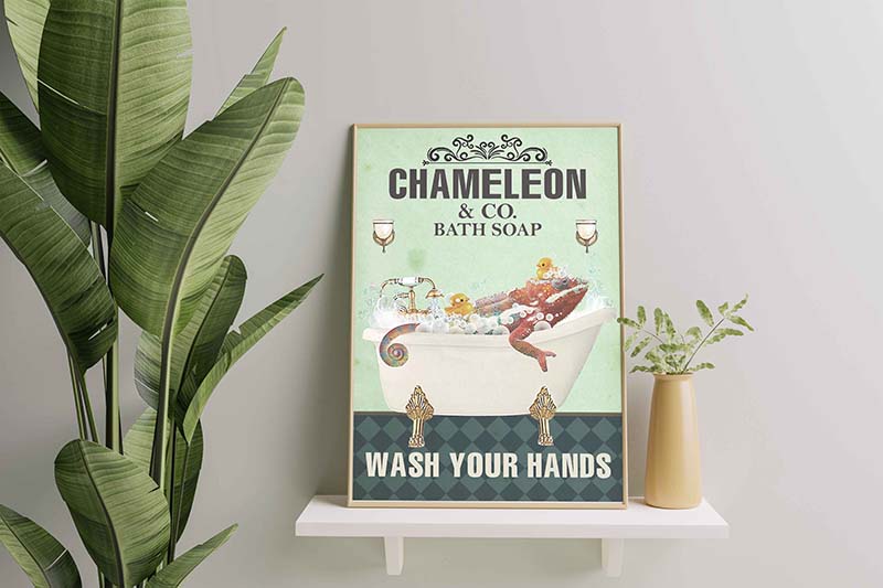 Chameleon Co. Bath soap wash your hands-TT2211