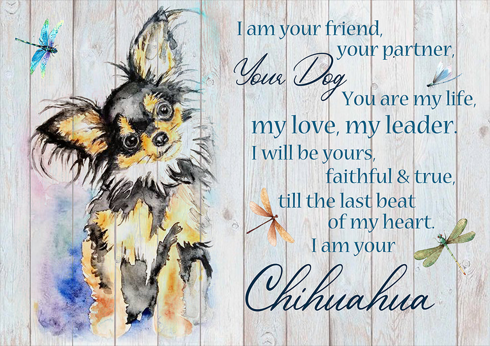 Chihuahua Dog I Am Your Friend