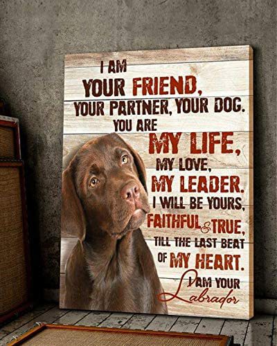 Chocolate Labrador Dog Im Your Friend Your Partner Your Dog You Are My Life My Love My Leader Portrait Poster