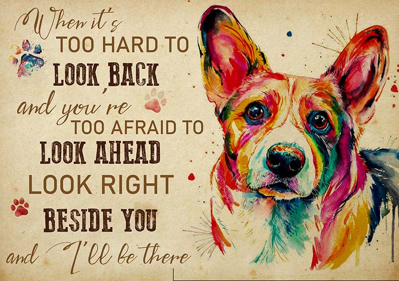 Corgi When It's Too Hard to Look Back-TT2009