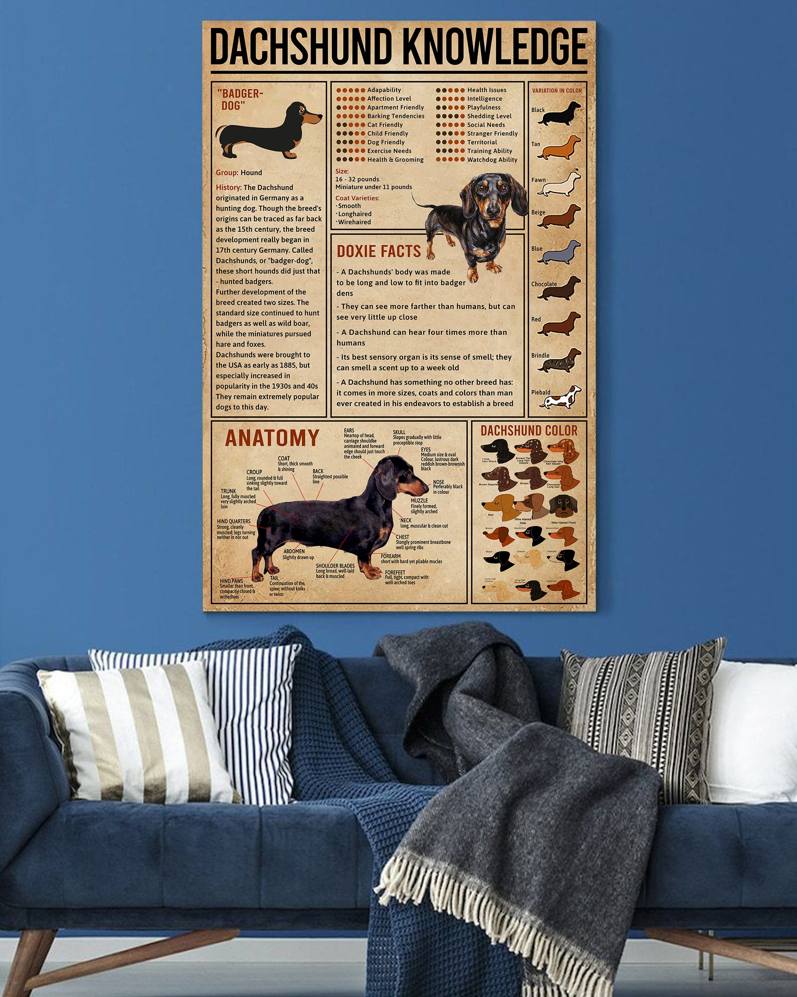 Skitongift Wall Decoration, Home Decor, Decoration Room Dachshund Knowledge-VT1305