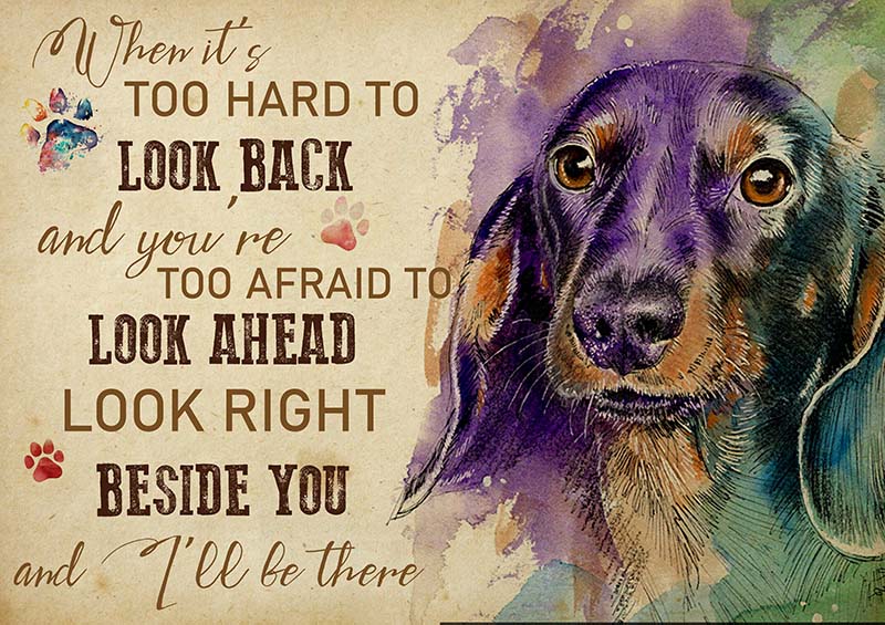 Dachshund When It's Too Hard to Look Back-TT2009