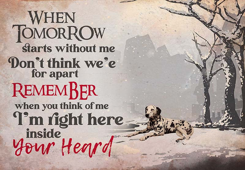 Dalmatian - I'M Right Here Inside Your Heart Ver2-MH2109