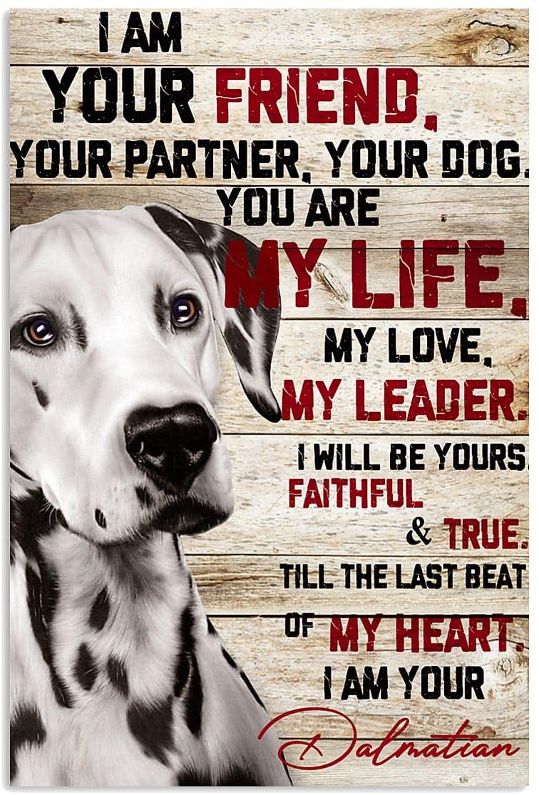 Dalmatian Dog I Am Your Friend Partner You Are Life Leader Dog Pet Love Quote