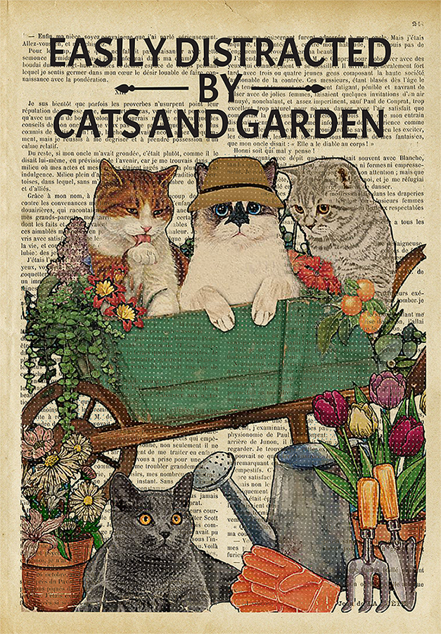 Dictionary Easily Distracted By Cats And Garden Watering Cats