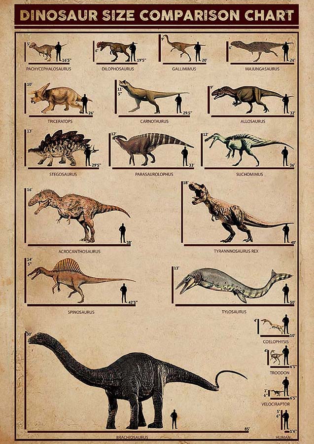 Dinosaur Comparison Chart-TT2909