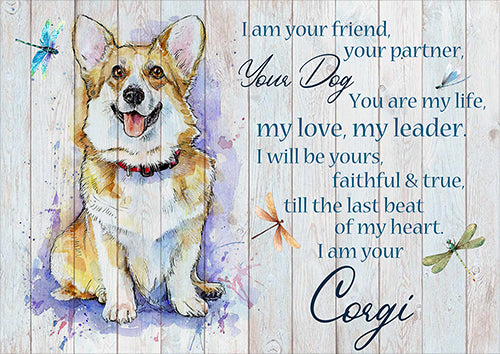 Dog Corgi I Am Your Friend