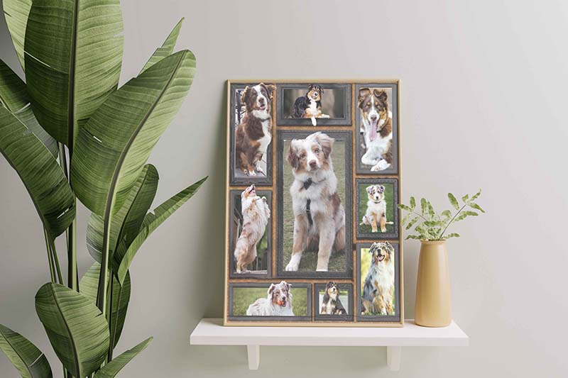 Wall Decoration, Home Decor, Decoration Room Dog Cute Australian Shepherds-TT2511