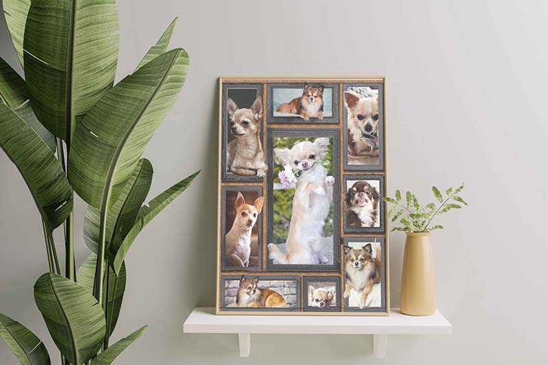 Wall Decoration, Home Decor, Decoration Room Dog Cute Chihuahua-TT2511