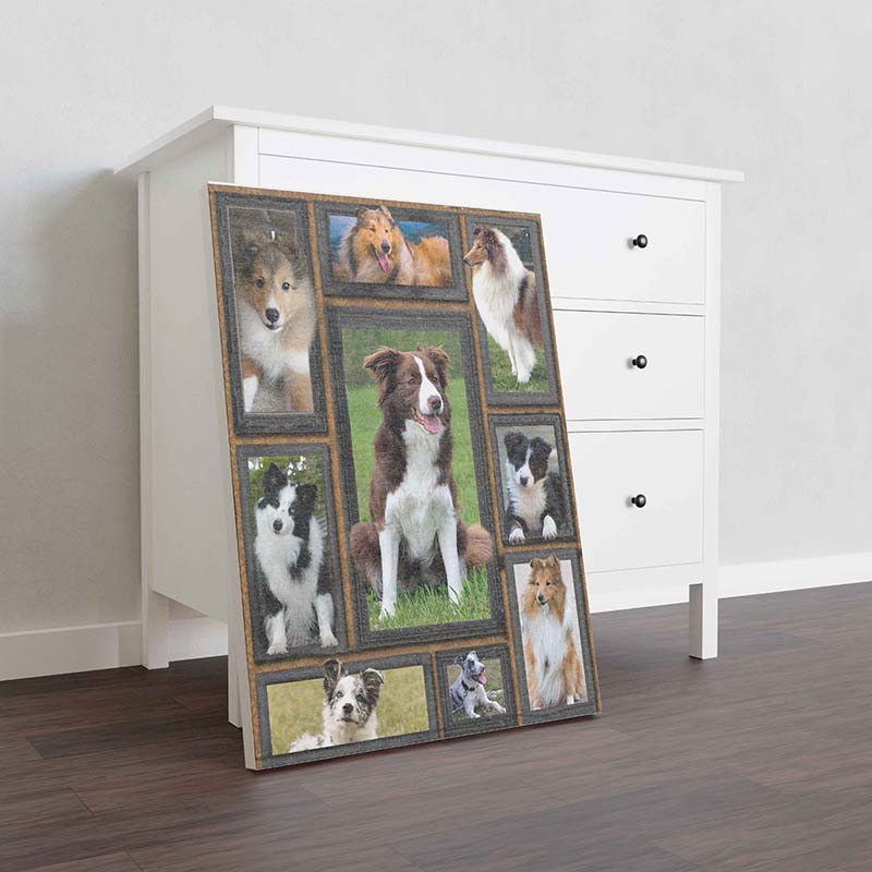 Wall Decoration, Home Decor, Decoration Room Dog Cute Collie-TT2511