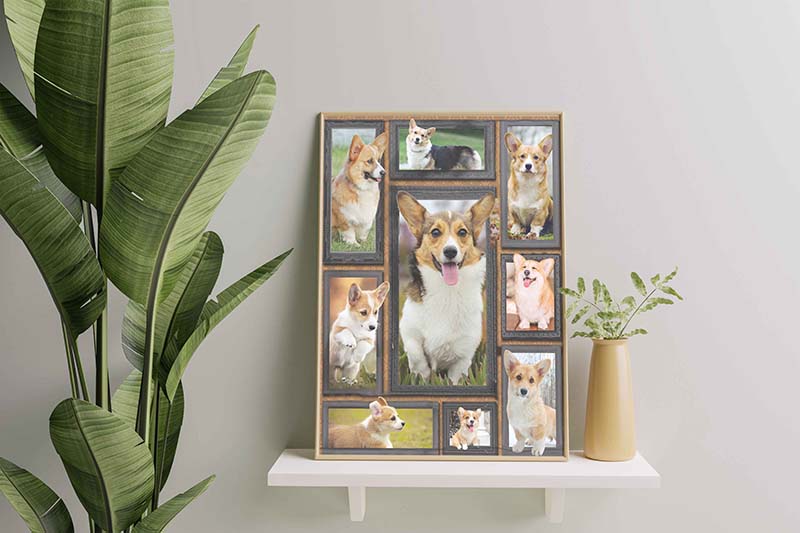 Dog Cute Corgi-TT2511