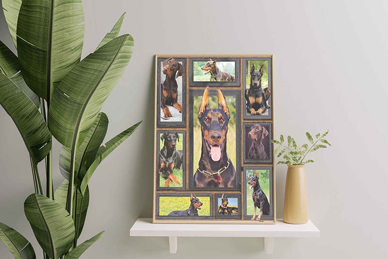 Dog Cute Doberman-TT2611