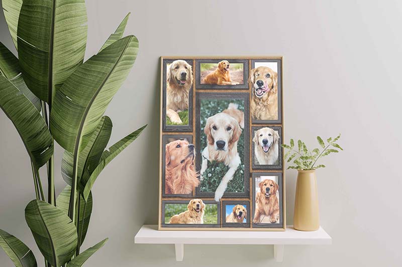 Dog Cute Golden Retriever-TT2711