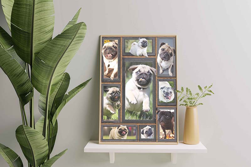 Dog Cute Pug-TT0112