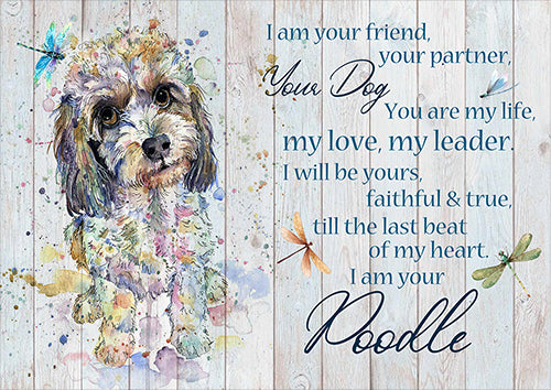 Dog Poodle I Am Your Friend