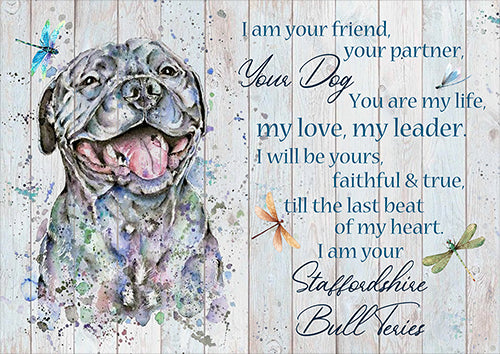 Dog Staffordshire I Am Your Friend