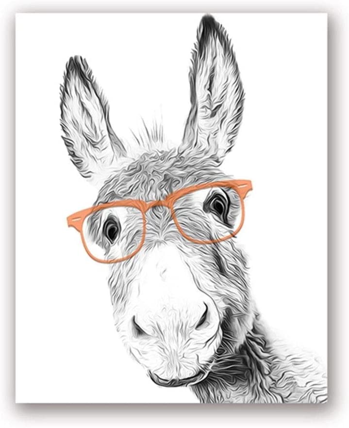 Donkey Orange Glasses Look Black White