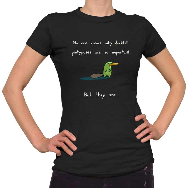 Skitongift-Duckbill-Platypuses-Are-Important-Tshirt-Cute-Funny-Platypus-Shirt-Funny-Shirts-Long-Sleeve-Tee-Hoody-Hoodie-heavyweight-pullover-hoodies