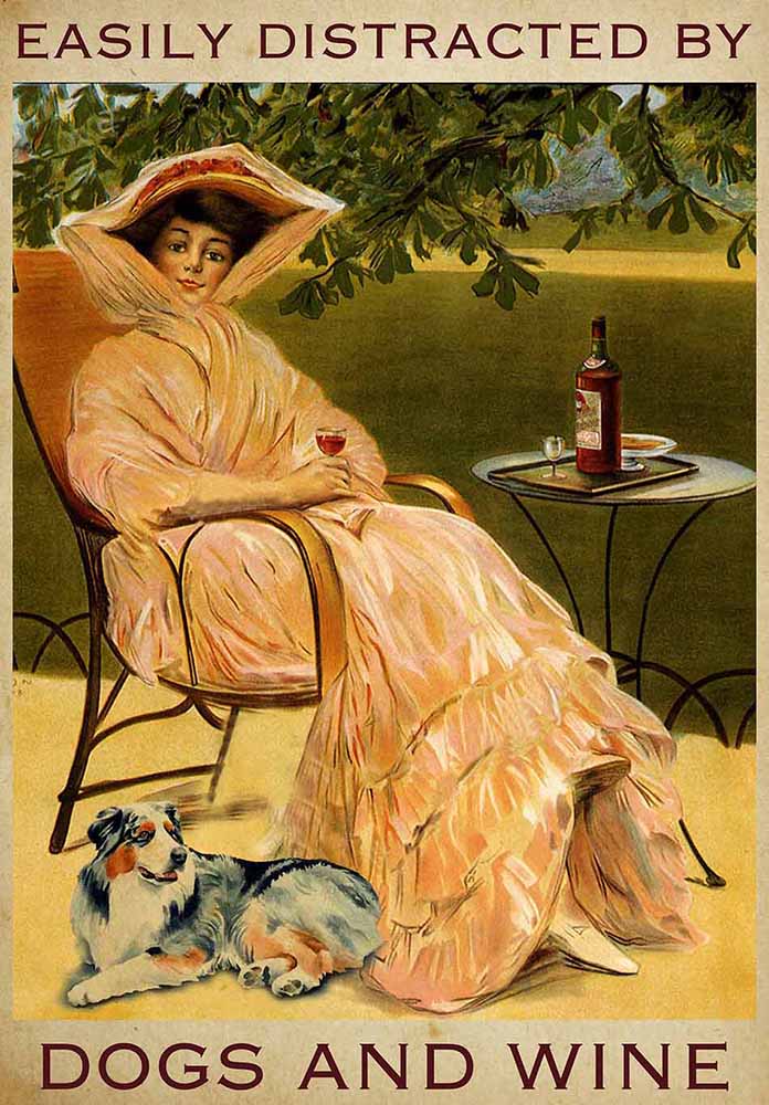 Easily Distracted by Australian Shepherds Dogs and Wine-TT2508