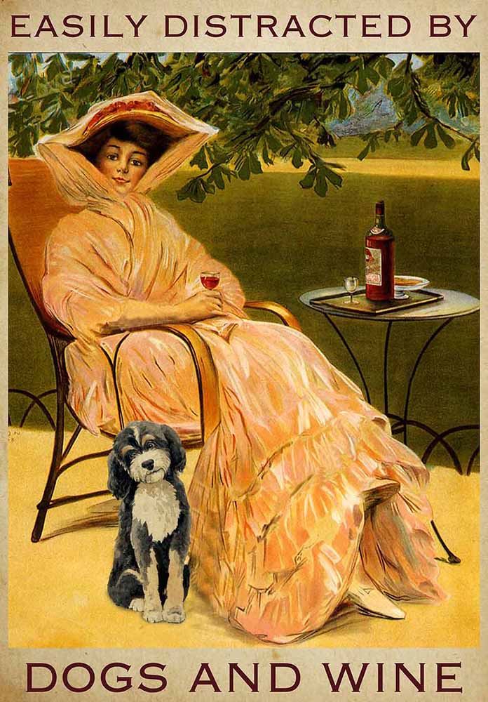 Easily Distracted by Bernedoodle Dogs and Wine-TT2508