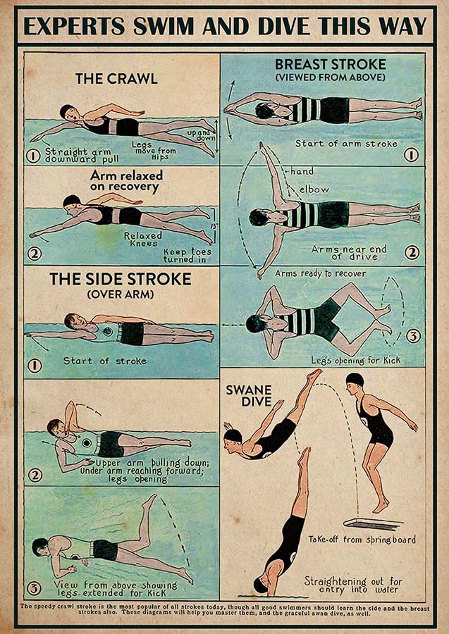 Experts Swim And Dive This Way-TT2809