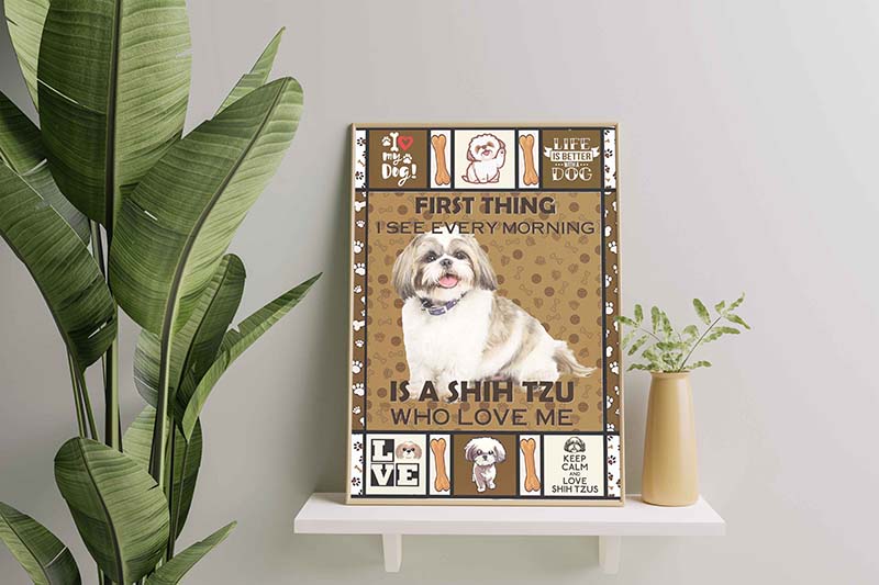 First Thing I See Every Morning Is A Shih Tzu Who Loves Me-TT1512