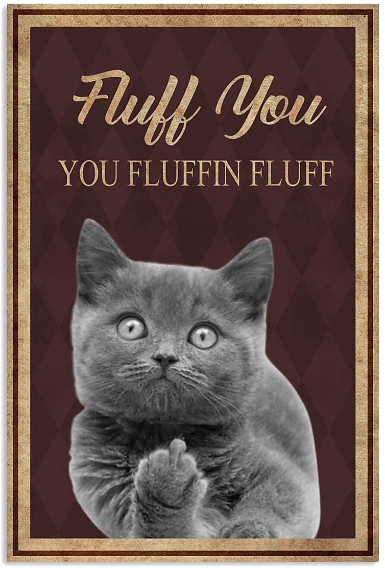 Fluff You You Fluffing Fluff Middle Finger Cat Funny
