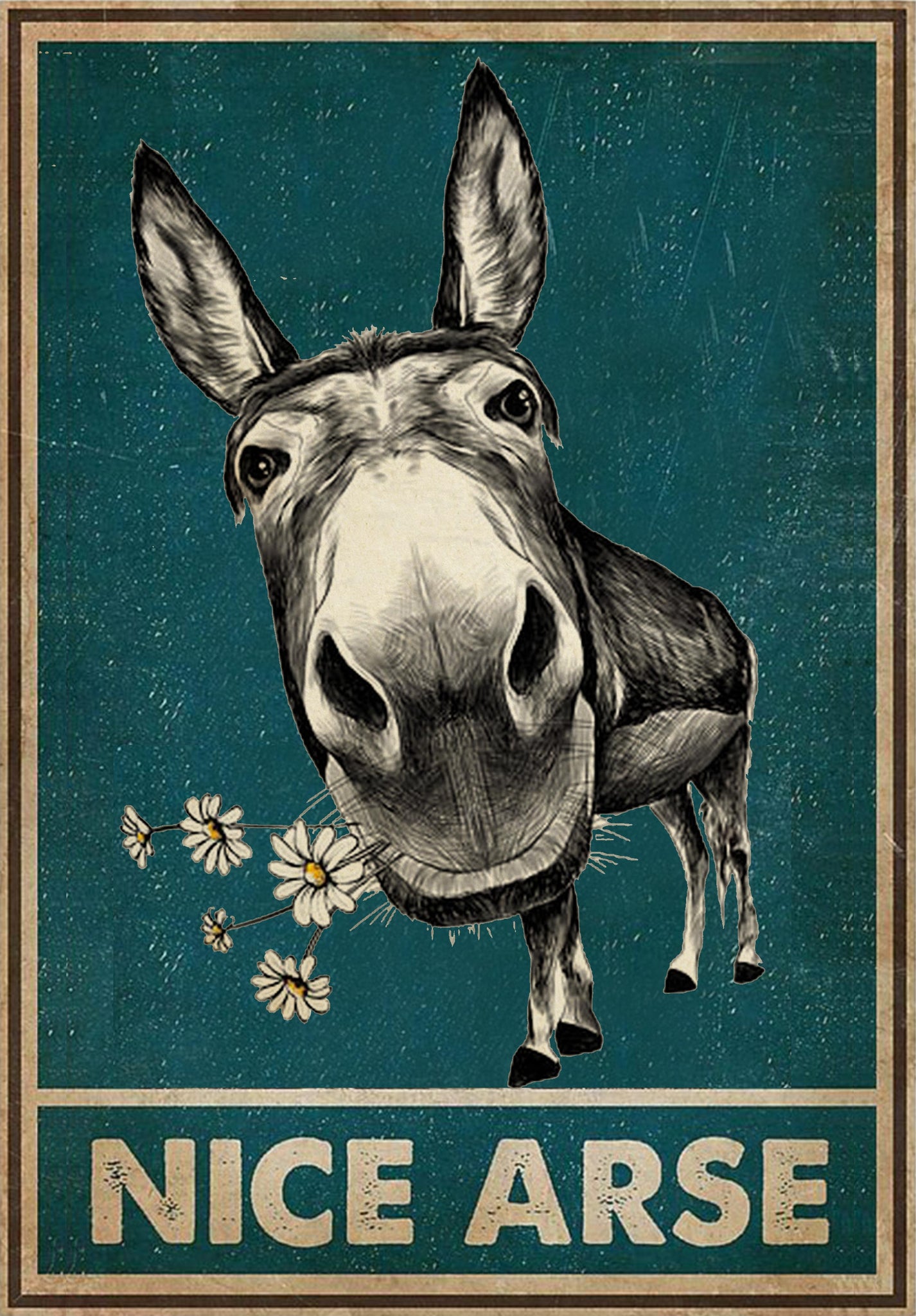 Funny Face Nice Arse Donkey 9-TT0608