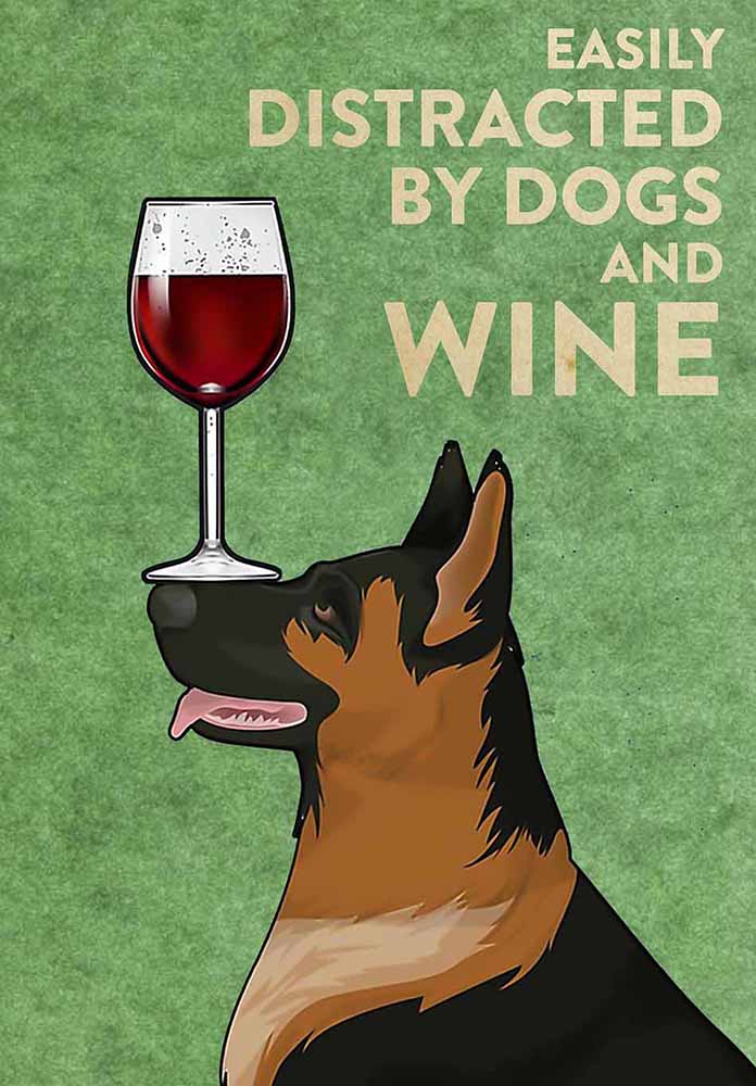 German Shepherd Easily Distracted By Dogs And Wine-TT2708