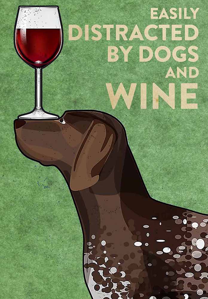 German Shorthaired Pointer Easily Distracted By Dogs And Wine-TT2708