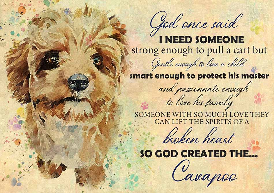 God One Said I Need Some One Cavapoo-TT2708