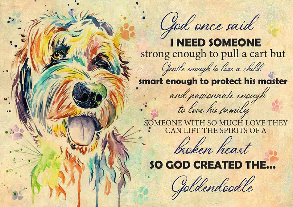 God One Said I Need Some One Goldendoodle-TT2708
