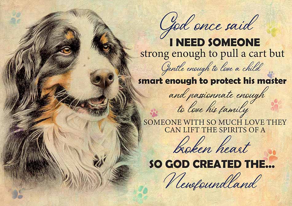 God One Said I Need Some One Newfoundland-TT2708