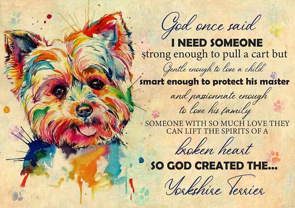 God One Said I Need Some One Yorkshire Terrier-TT2708
