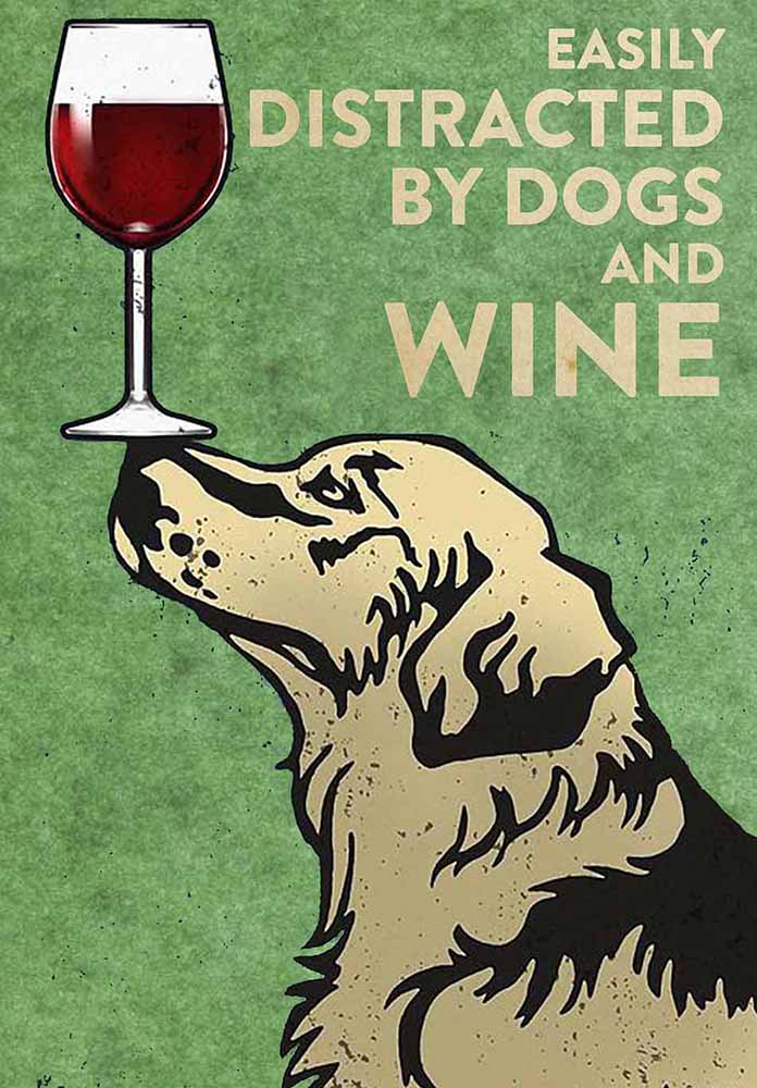 Golden Retriever Easily Distracted By Dogs And Wine-TT2708