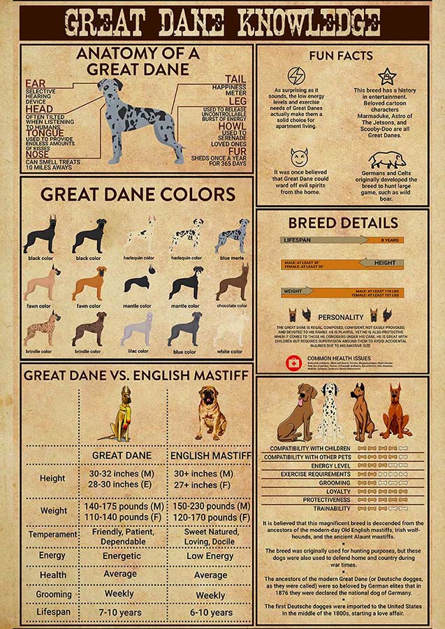 Great Dane Knowledge-TT0610