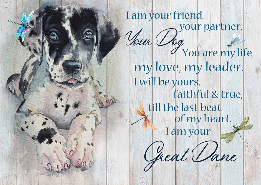 Great Dane dog I Am Your Friend