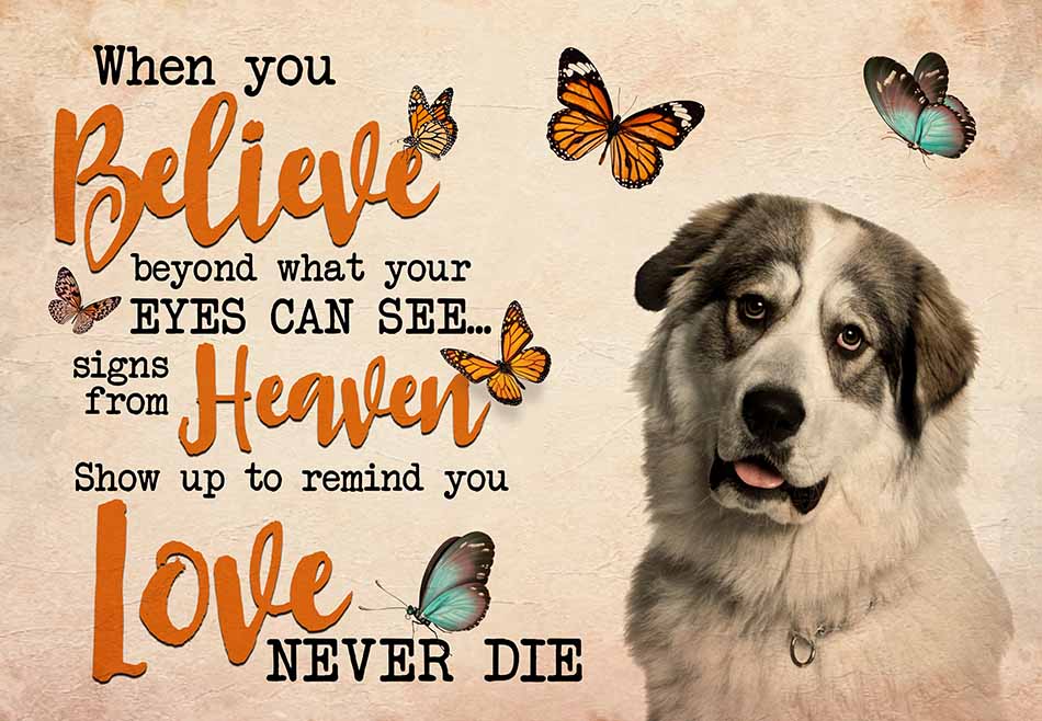 Great Pyrenees When You Believe Beyond What Your Eyes Can See Signs From Heaven MH0309