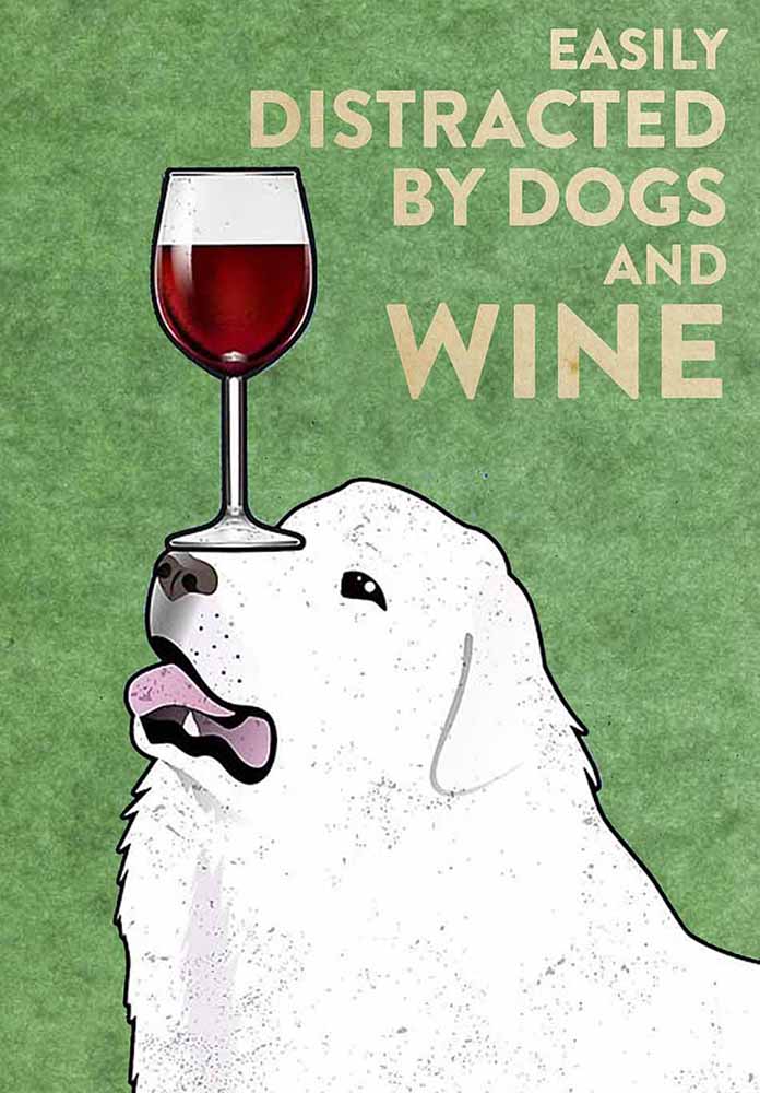 Great Pyrenees Easily Distracted By Dogs And Wine-TT2708