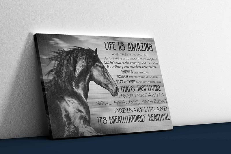 Skitongifts Wall Decoration, Home Decor, Decoration Room Horse - Life is amazing And Then It's Awful-TT1903