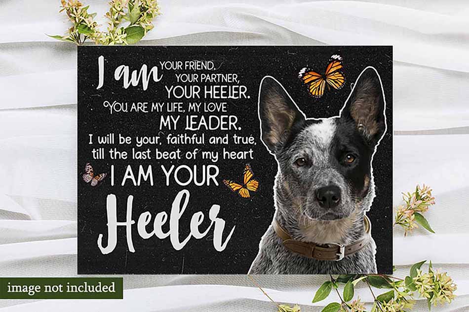 Heeler I Am Your Friend Your Partner Your Heeler You Are My Life-MH2808