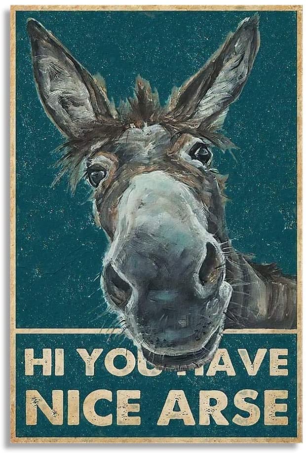 Hi You Have Nice Ass Donkey Funny Pet Quote Minimal Wc Bathroom