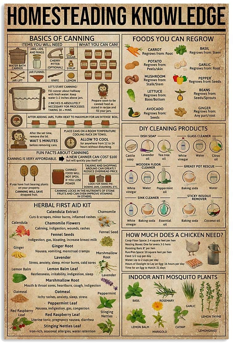 Homesteading Knowledge Table Cooking Hobby Proud Kitchen