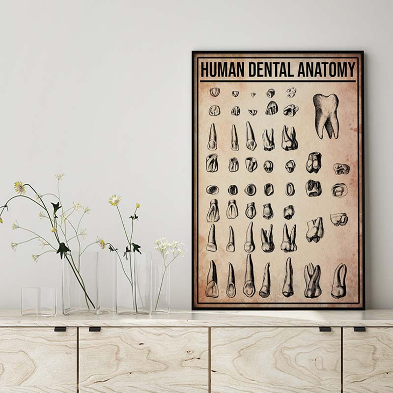 Skitongifts Wall Decoration, Home Decor, Decoration Room Human Dental Anatomy-MH2509
