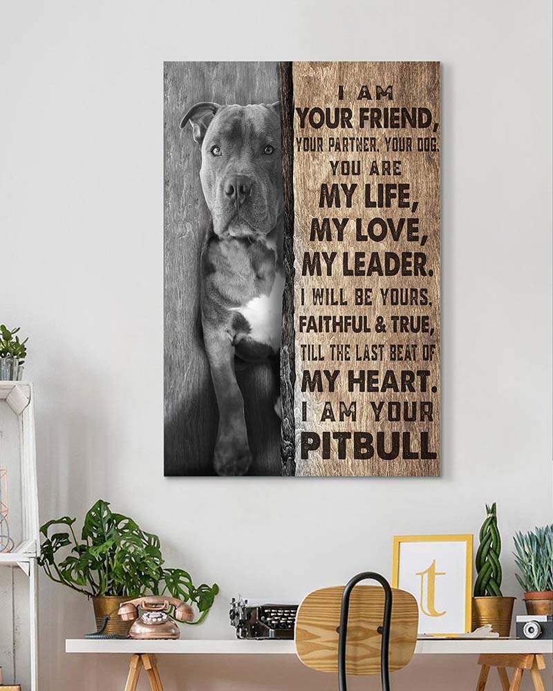 I Am Your Friend Your Partner Your Dog You are My Life, Pit-Bull Dog-VT0905