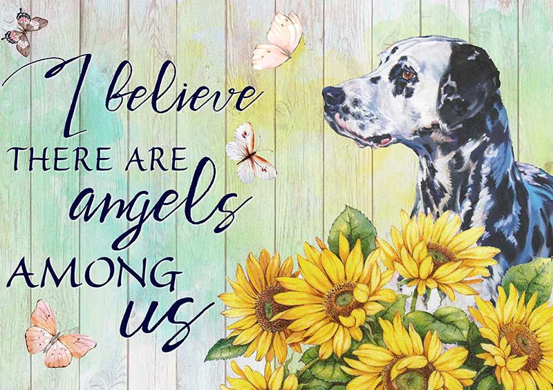 I Believe Angels Among Dalmatian-TT2409