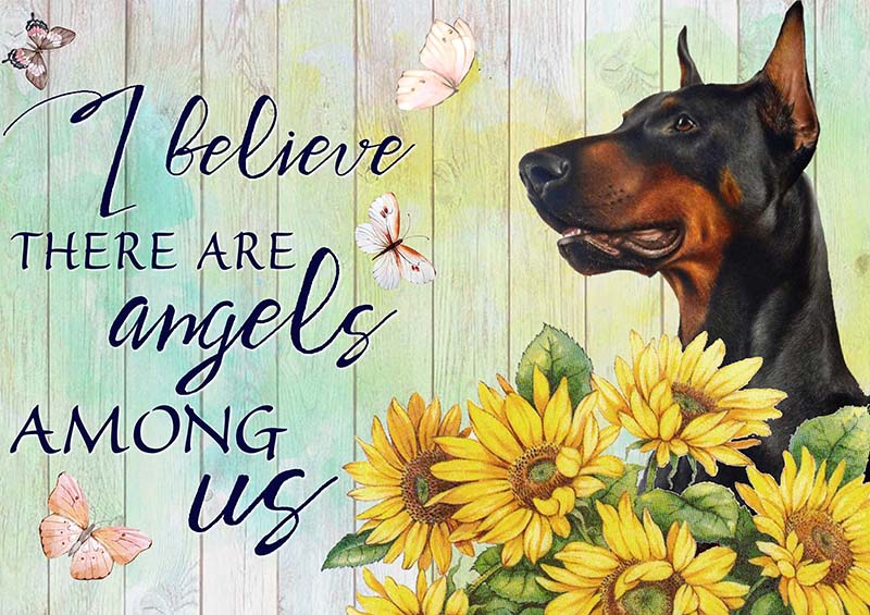 I Believe Angels Among Pinscher-TT2409