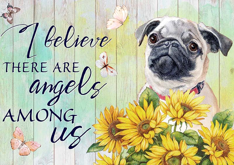 I Believe Angels Among Pug-TT2409