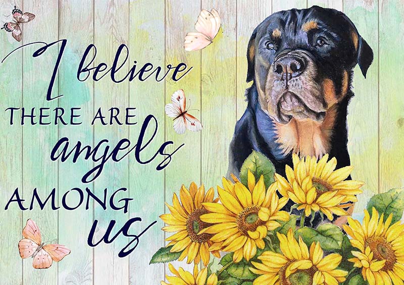 I Believe Angels Among Rottweiler-TT2409