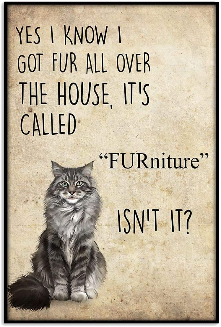 I Got Fur All Over The House Its Called Furniture Funny Cat Quote Slogan